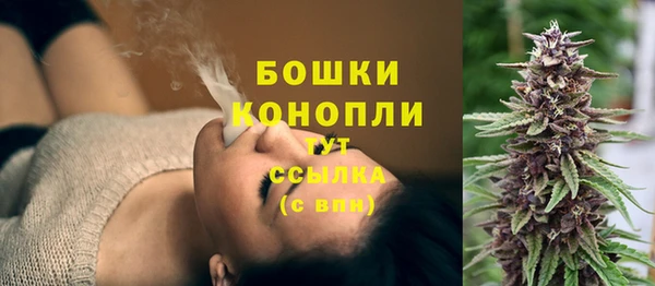 индика Валуйки