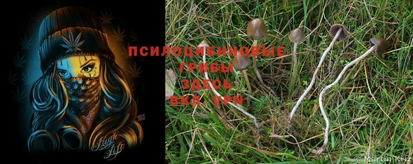 соль курить ск Няндома