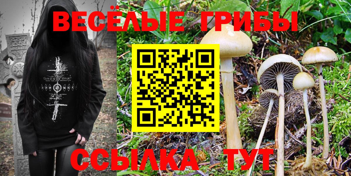 Галлюциногенные грибы прущие грибы  Псилоцибиновые грибы GOLDEN TEACHER  Баксан 