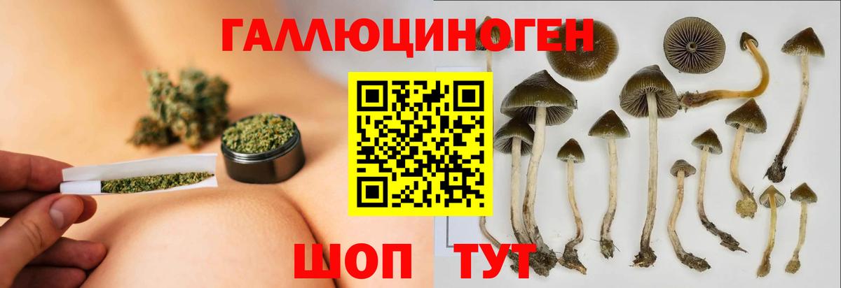 Псилоцибиновые грибы MAGIC MUSHROOMS Баксан