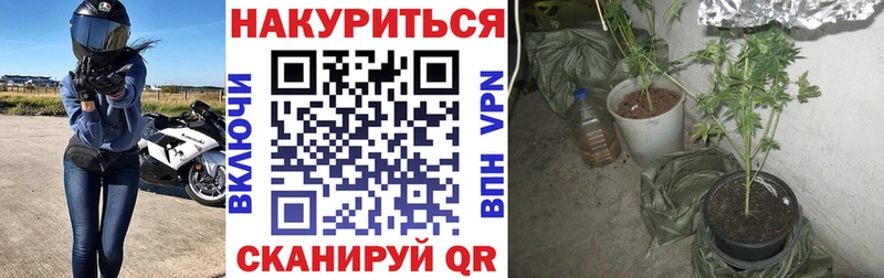 OMG Баксан МАРИХУАНА индика